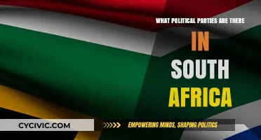 Exploring South Africa's Diverse Political Parties and Their Roles