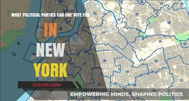 Exploring New York's Political Parties: Who Can You Vote For?