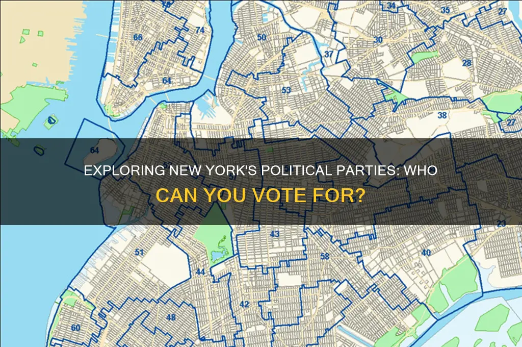 what political parties can one vote for in new york