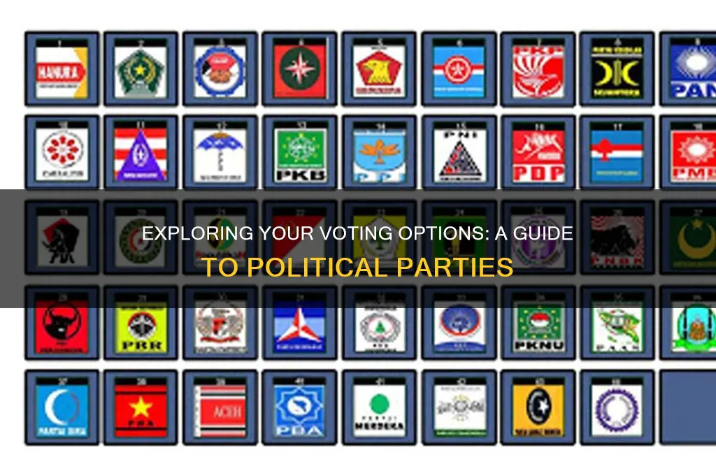 what political parties can you vote for