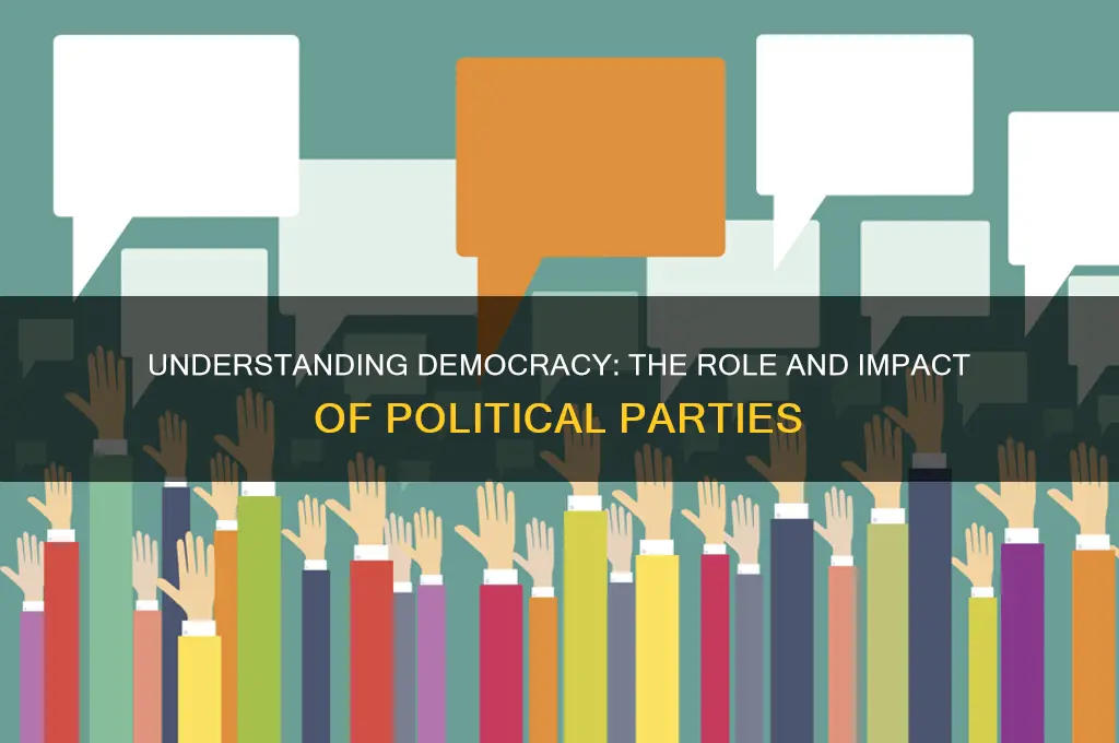 what political parties do in a democracy