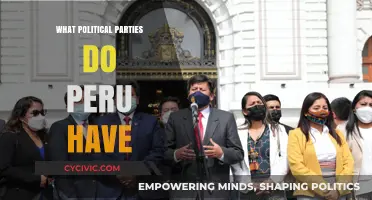Exploring Peru's Political Landscape: Parties, Ideologies, and Influence