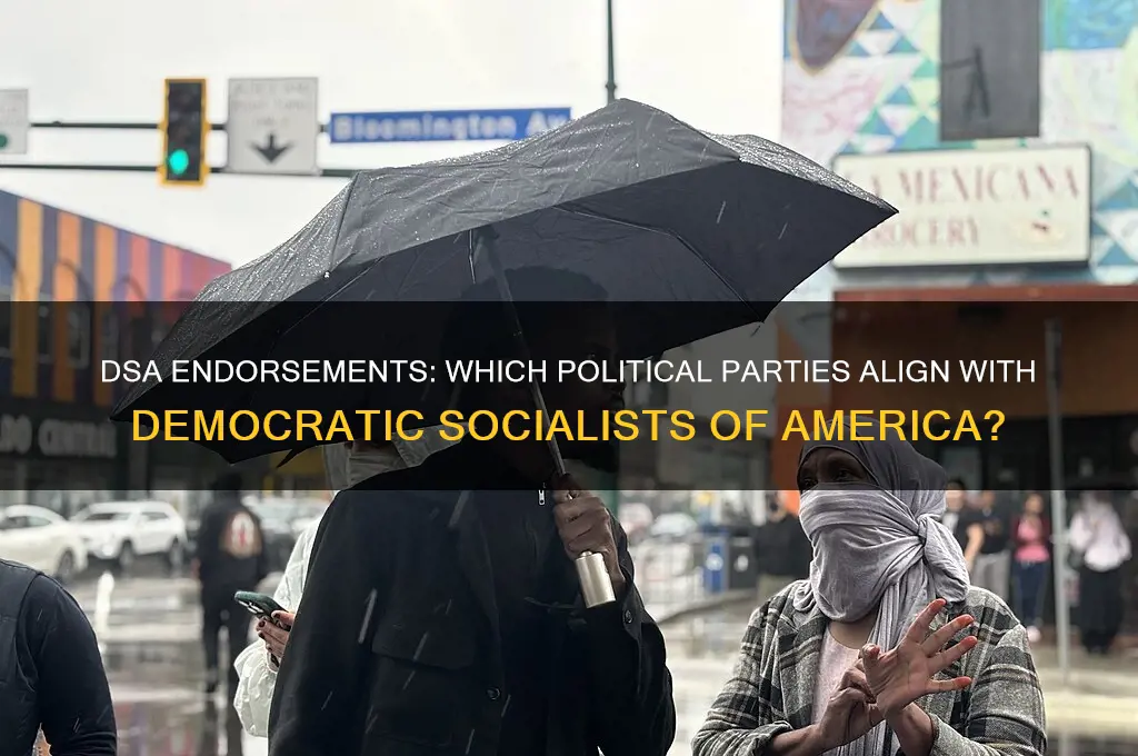 what political parties does the democratic socialists of america endorse