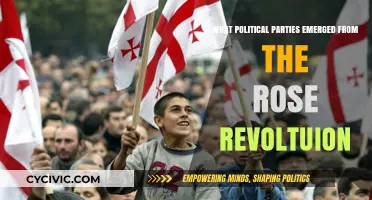 Rose Revolution's Legacy: Political Parties Shaping Georgia's Future