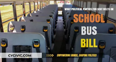 School Bus Safety Debate: Which Political Parties Back Seat Belt Bills?