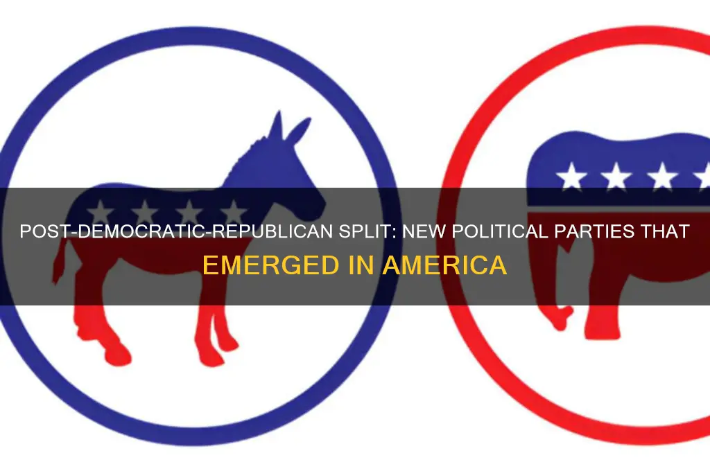 what political parties formed after the democratic-republicans separated