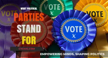 Understanding Political Parties: Core Values, Beliefs, and Policy Priorities