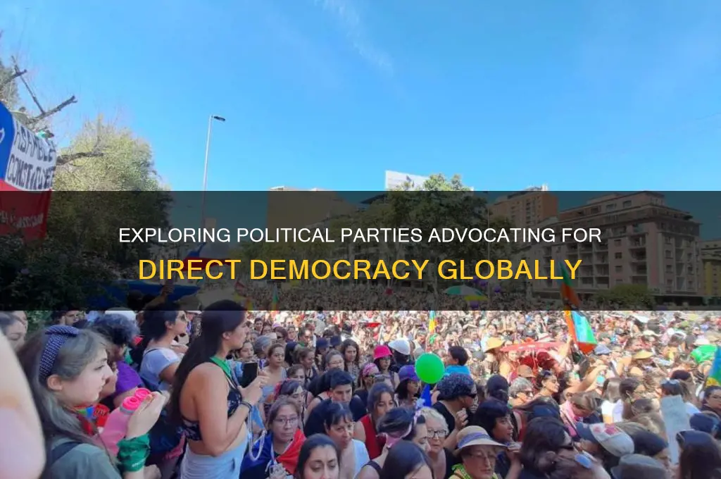 what political parties support direct democracy