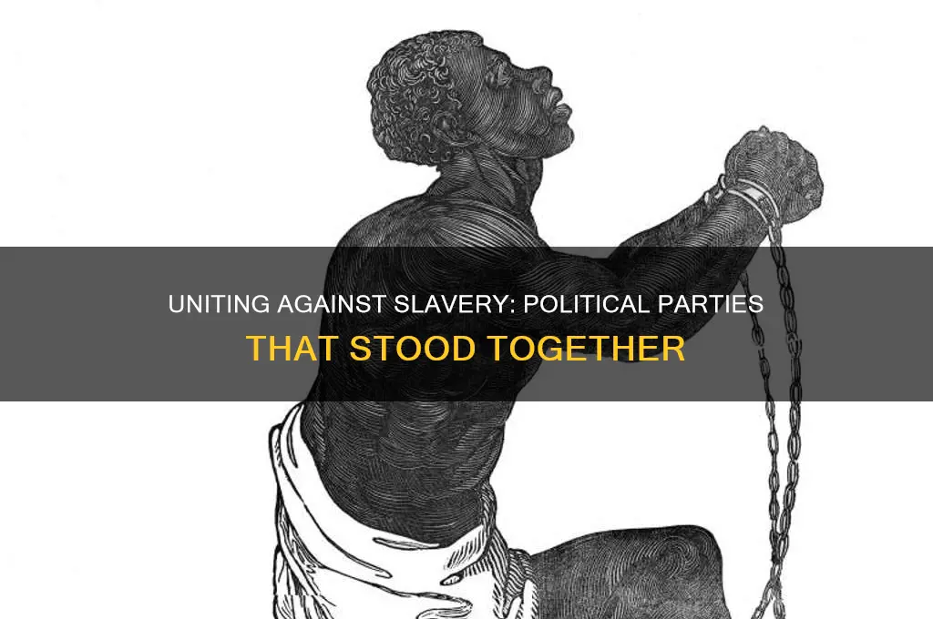 what political parties was not divided over slavery