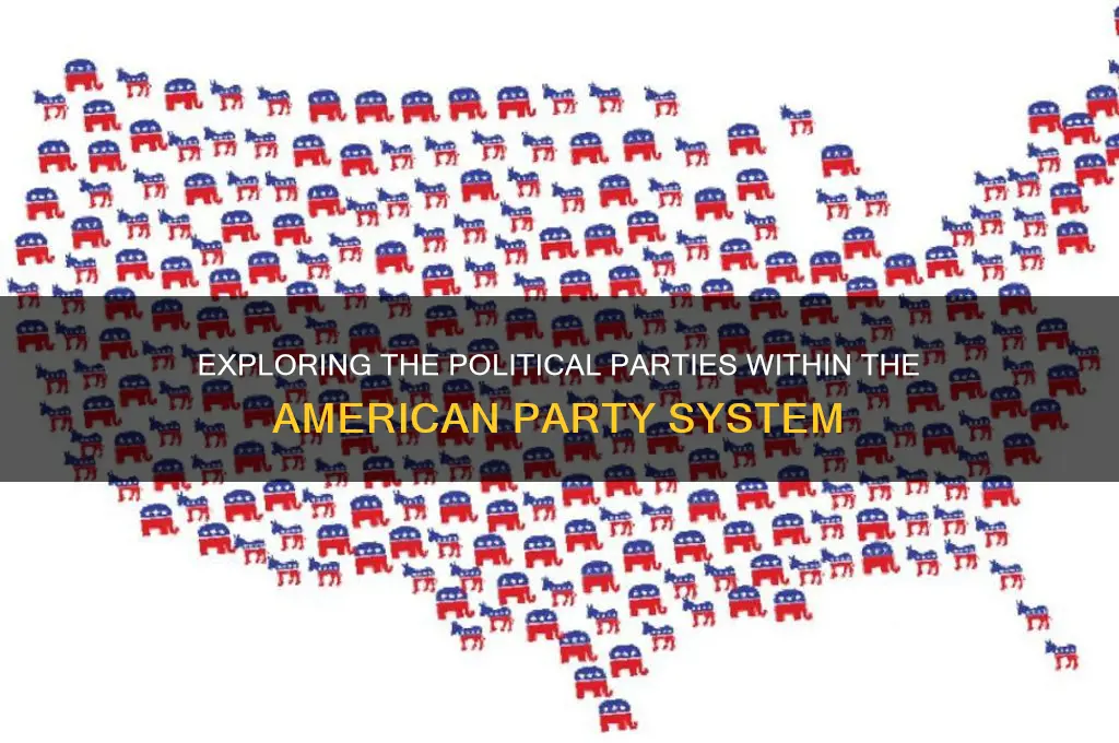 what political parties went in the american party