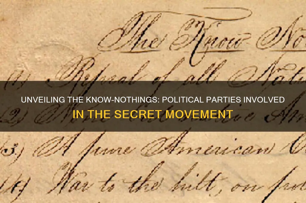 what political parties went in the know-noityhings