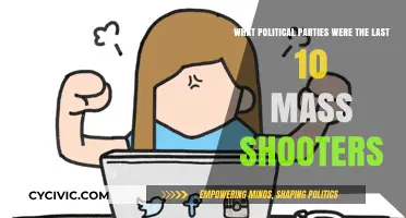 Mass Shootings and Political Affiliations: Analyzing the Last Decade's Tragedies