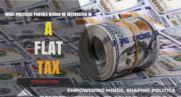 Flat Tax Appeal: Which Political Parties Support Simplified Tax Systems?