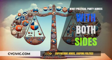 Bridging the Divide: Exploring the Centrist Political Party's Dual Alignment