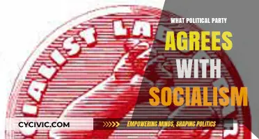 Socialism's Political Allies: Which Parties Embrace Socialist Ideals?