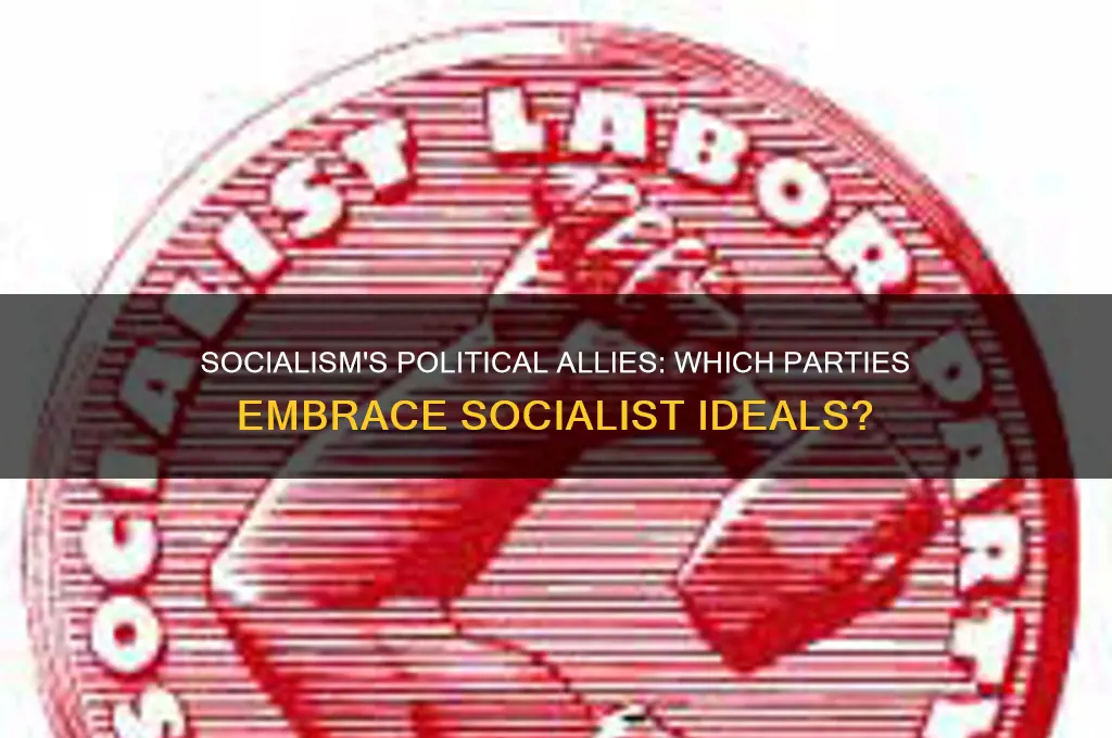 what political party agrees with socialism