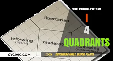 Discover Your Political Party: 4 Quadrants Quiz Explained