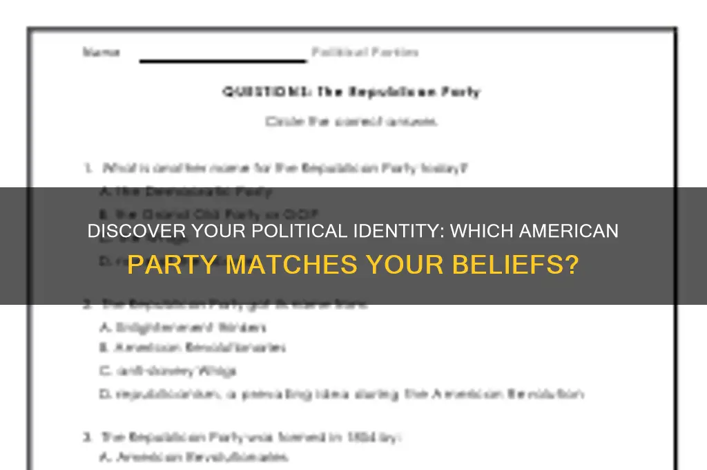 what political party am i america