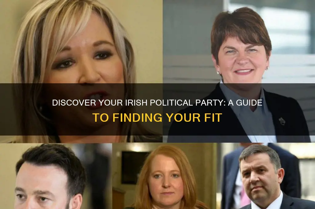 what political party am i ireland