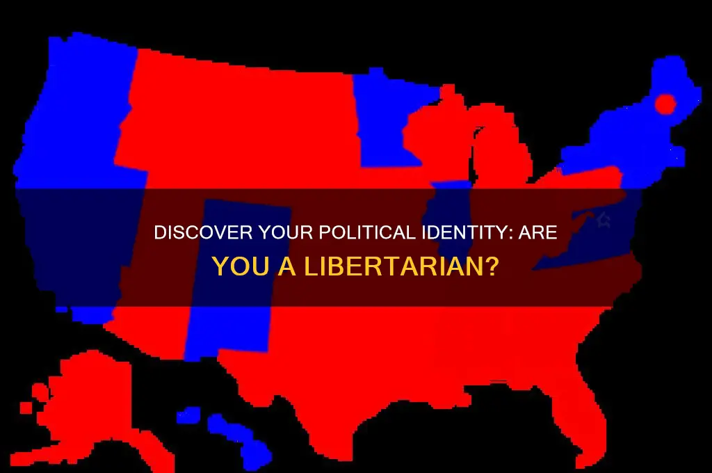 what political party am i libertarian