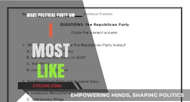 Discover Your Political Identity: Which Party Matches Your Beliefs?
