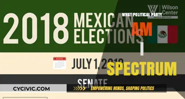 Discover Your Political Identity: Where Do You Stand on the Spectrum?