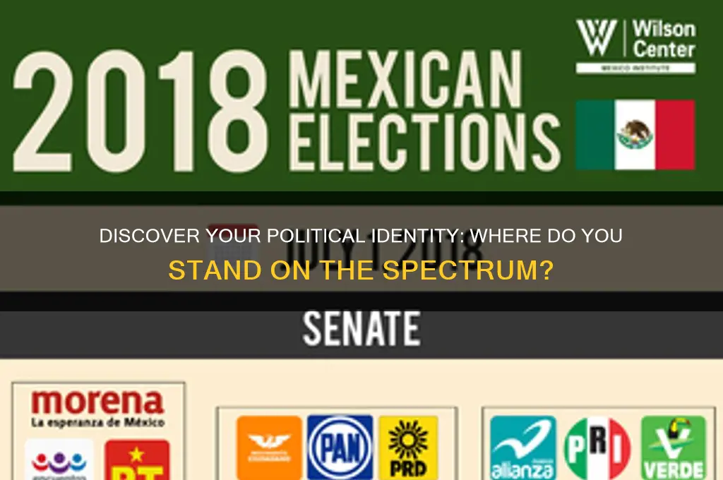 what political party am i spectrum