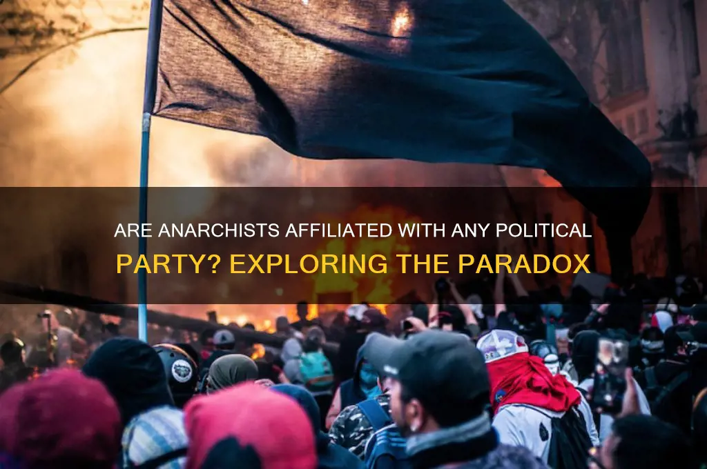 what political party are anarchists