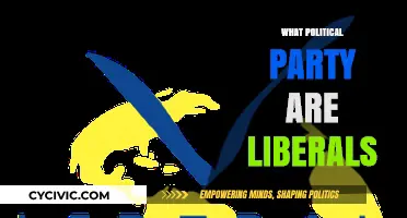 Understanding Liberals: Their Political Party Affiliation Explained in Detail