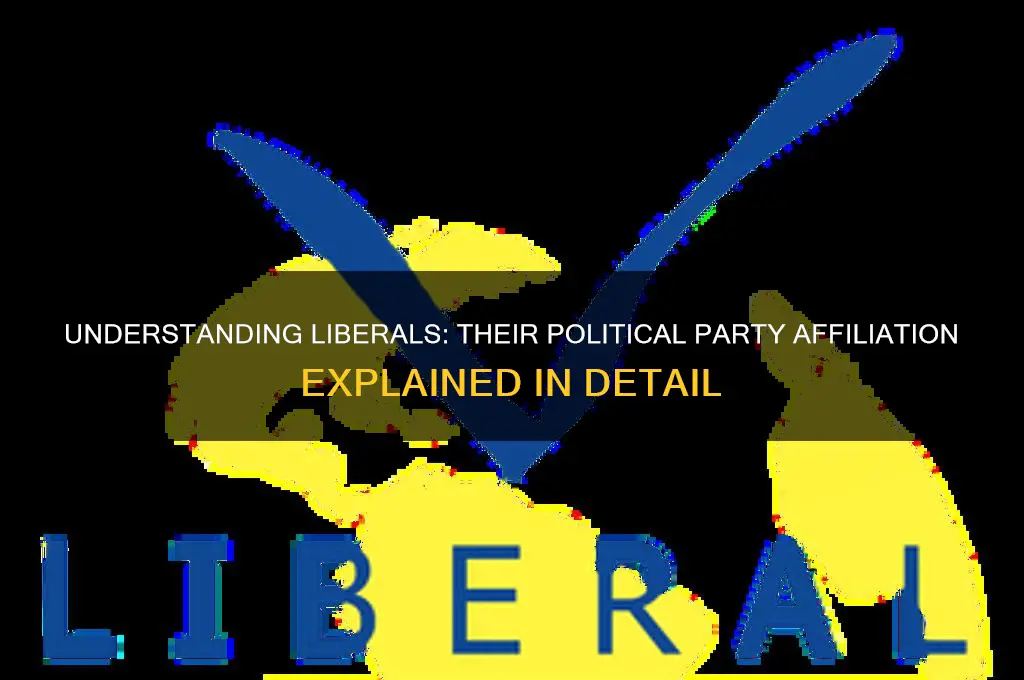 what political party are liberals