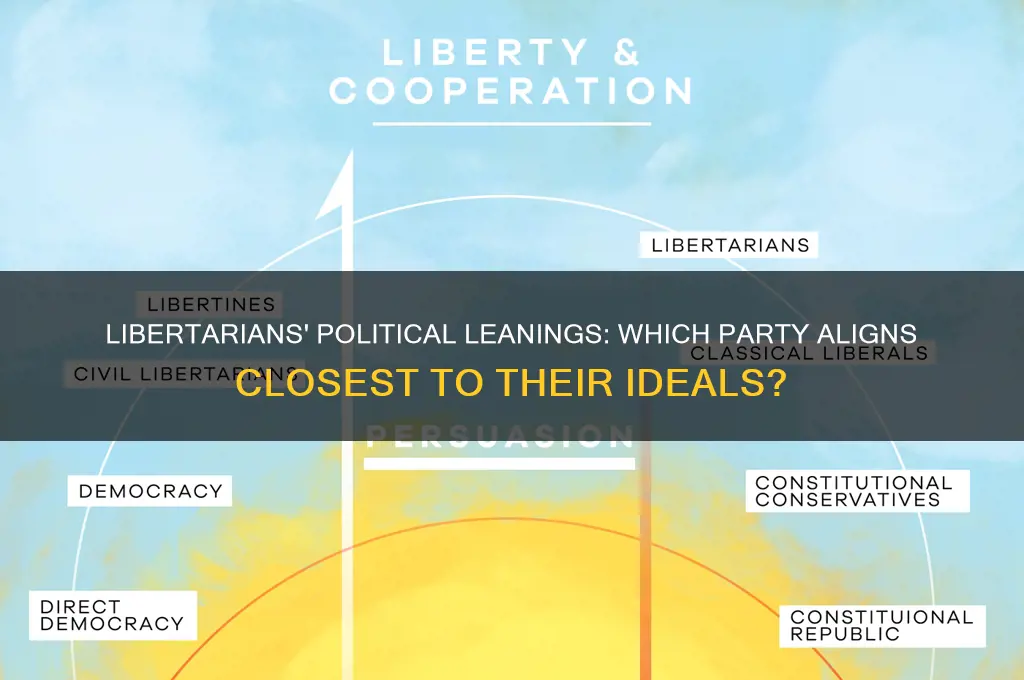 what political party are libertarians most associated with