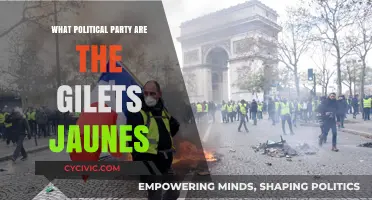 Understanding the Gilets Jaunes: Their Political Affiliation Explained