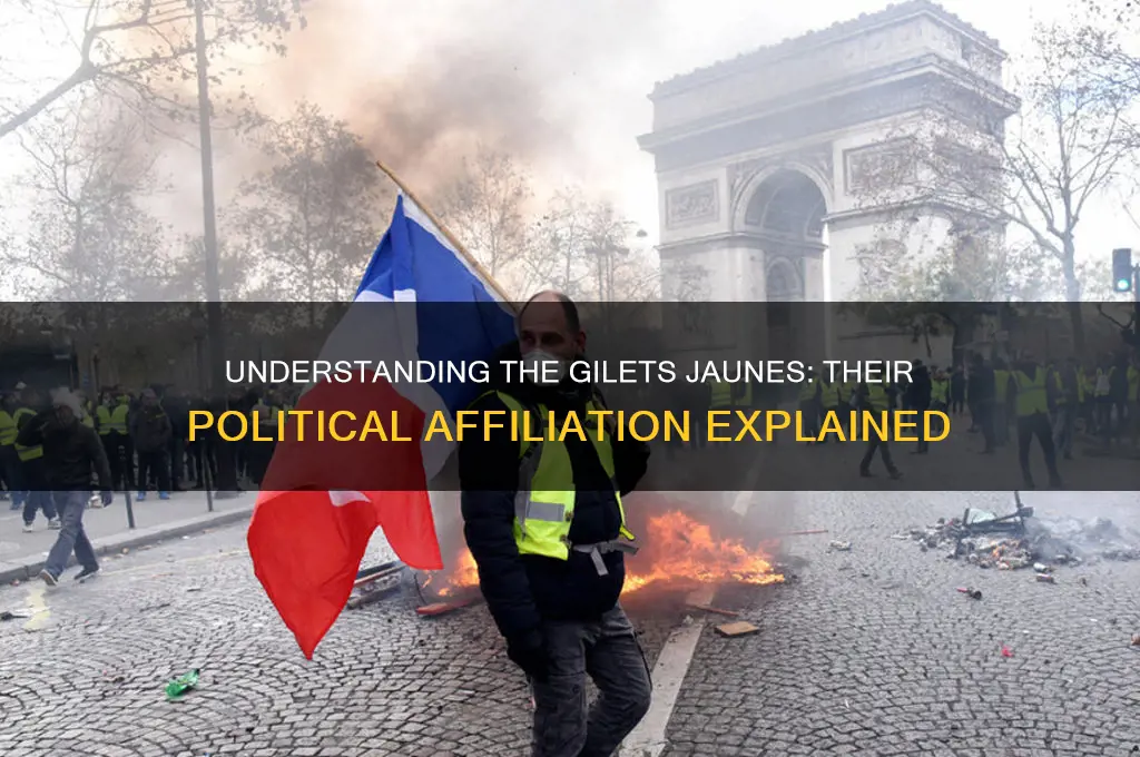 what political party are the gilets jaunes