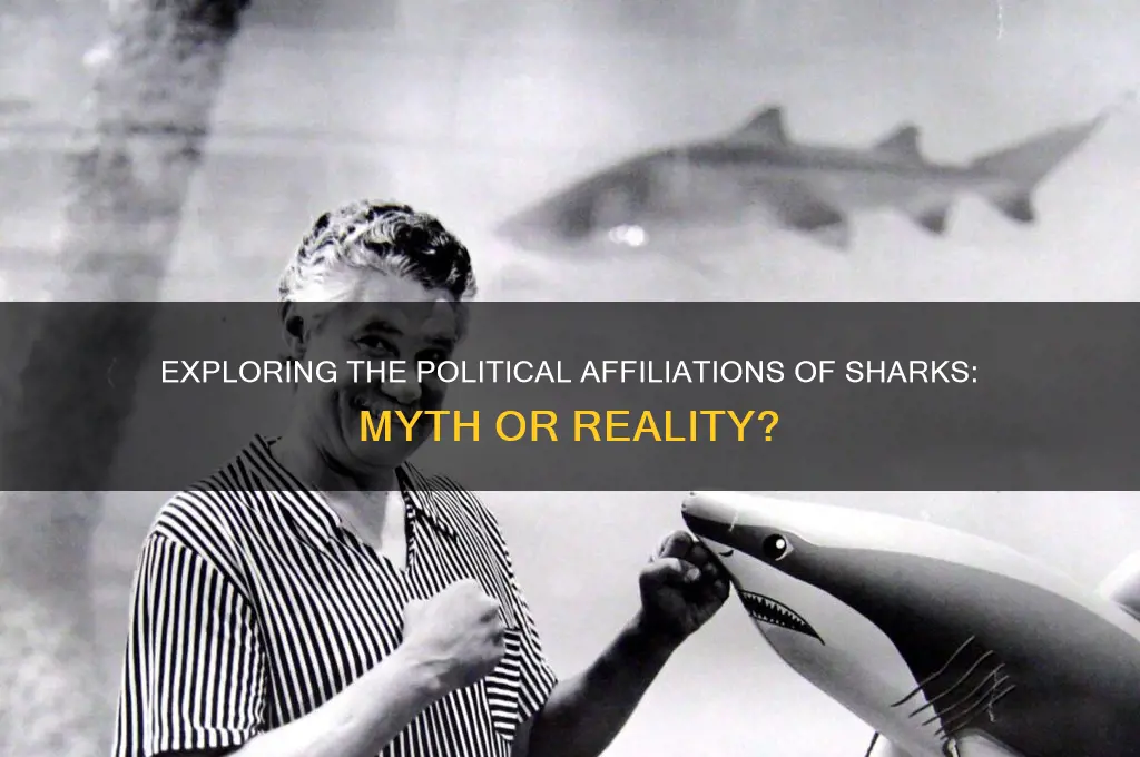 what political party are the sharks