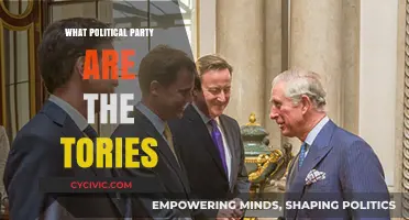 Understanding the Tories: Their Political Party Affiliation Explained
