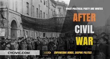 Post-Civil War White Political Alignments: Parties and Shifting Loyalties
