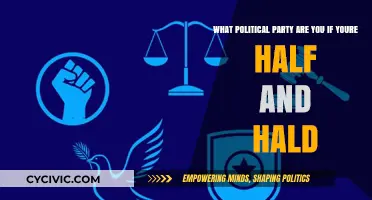 Half and Half Politics: Navigating the Middle Ground in a Polarized World