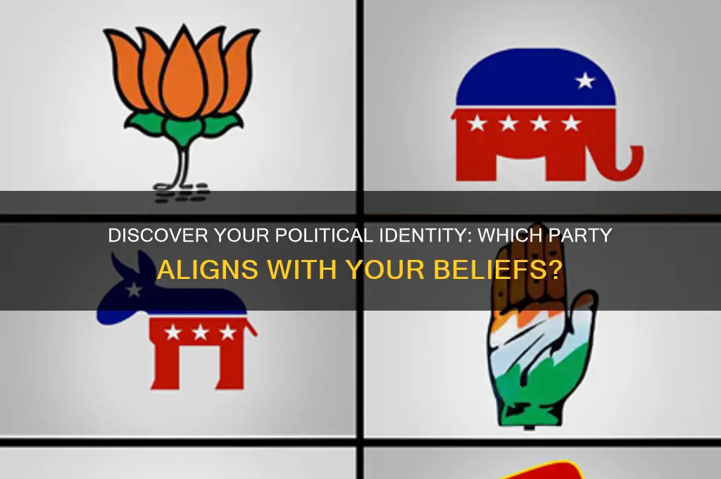 what political party are you