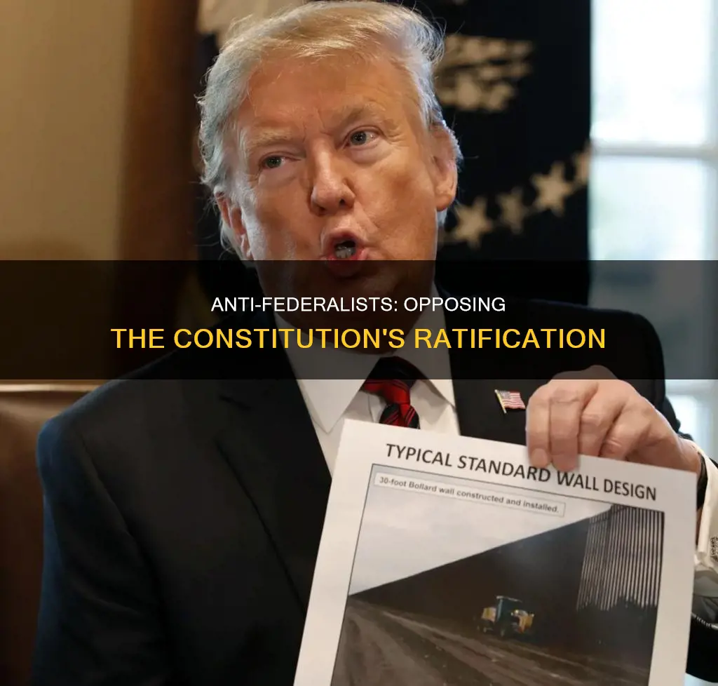 what political party argued against the ratification of the constitution