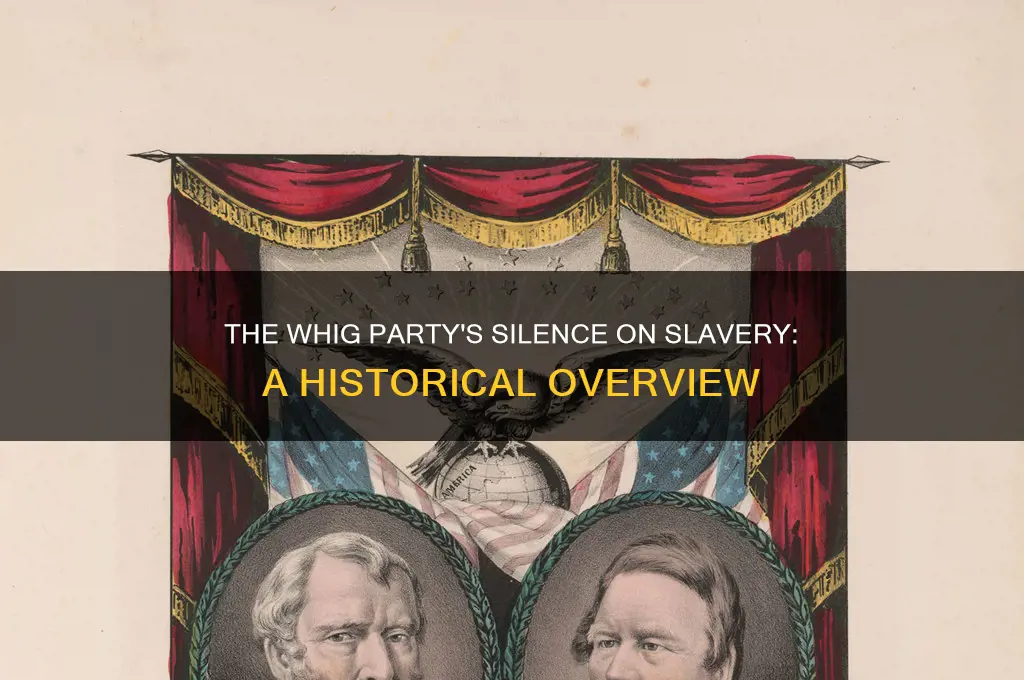 what political party avoided the issue of slavery