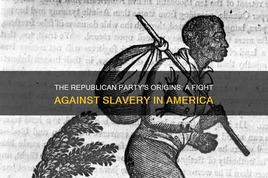 what political party began as the anti-slavery party