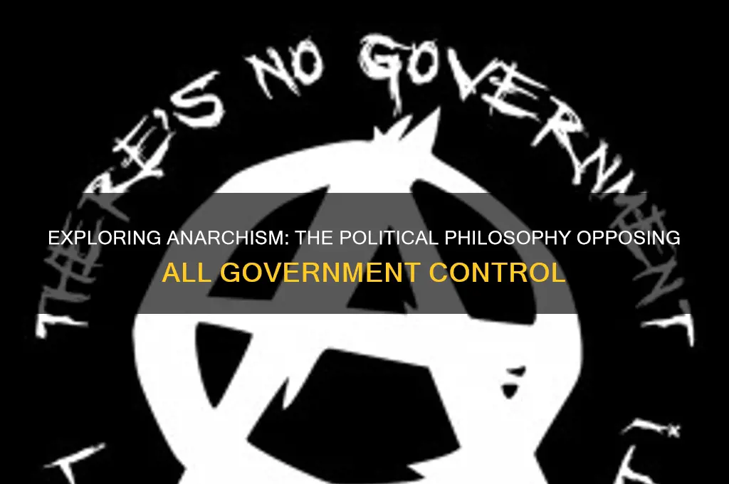 what political party believes in no government