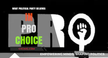 Pro-Choice Politics: Which Party Champions Reproductive Rights in America?
