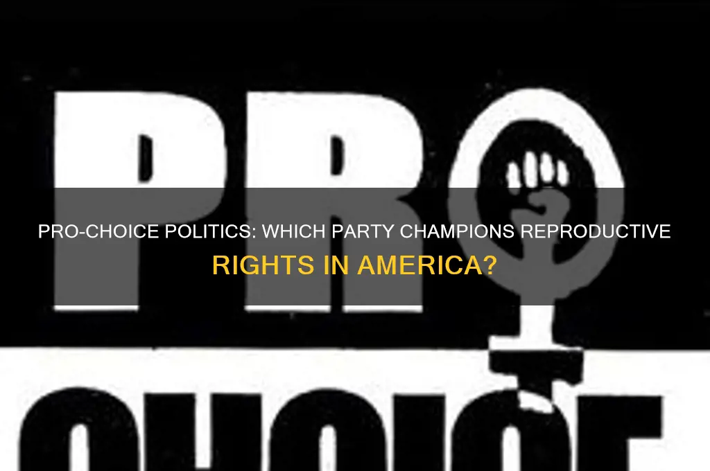 what political party believes in pro choice