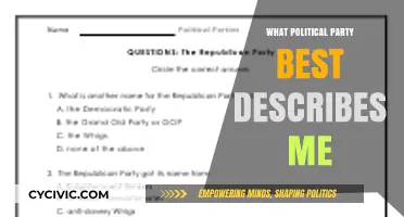 Discover Your Political Identity: Which Party Matches Your Beliefs?