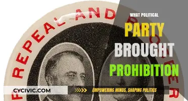 The Rise of Prohibition: Which Political Party Led the Charge?