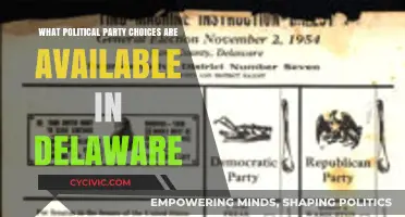 Exploring Delaware's Political Landscape: Parties and Voter Options