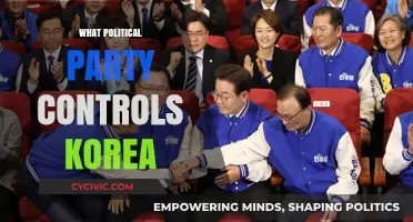 Which Political Party Dominates South Korea's Government and Policies?