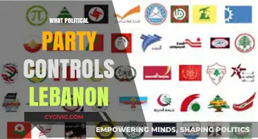 Lebanon's Political Landscape: Which Party Holds the Reins of Power?