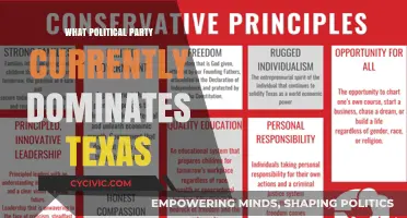 Texas Politics: The Dominant Party Shaping the Lone Star State Today